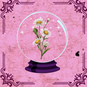 Daisies: Mythology, Medicinal & Magical Properties | Herbology Lesson