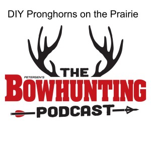 DIY Pronghorns on the Prairie
