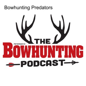 Bowhunting Predators