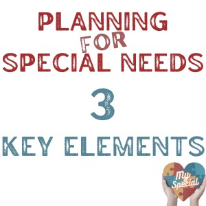 3 Fundamental Elements of Special Needs Planning