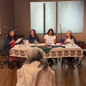 Three Sisters Collective panel talk Nov 3, 2024