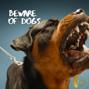 Beware of Dogs - Tim Atchley - 2024-04-28