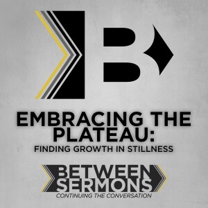 Embracing the Plateau: Finding Growth in Stillness