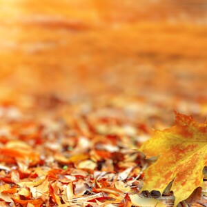 Otoño