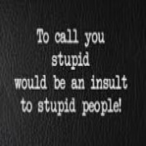 Don't Call Me Stupid!