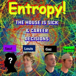 Entropy 3:The house is sick & career decisions