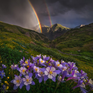 Candace Dyar - Connection to the Landscape as a Photographer