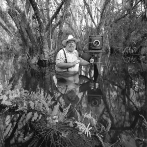 340: Clyde Butcher - Master of the Florida Swamps