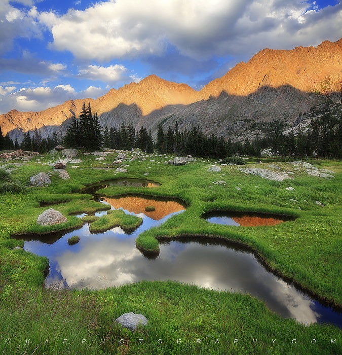 Kane Engelbert - Passion for Colorado