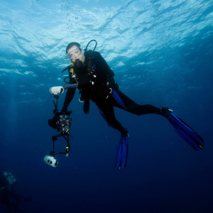 Matt McGee - Underwater Nature & Fine Art Photography