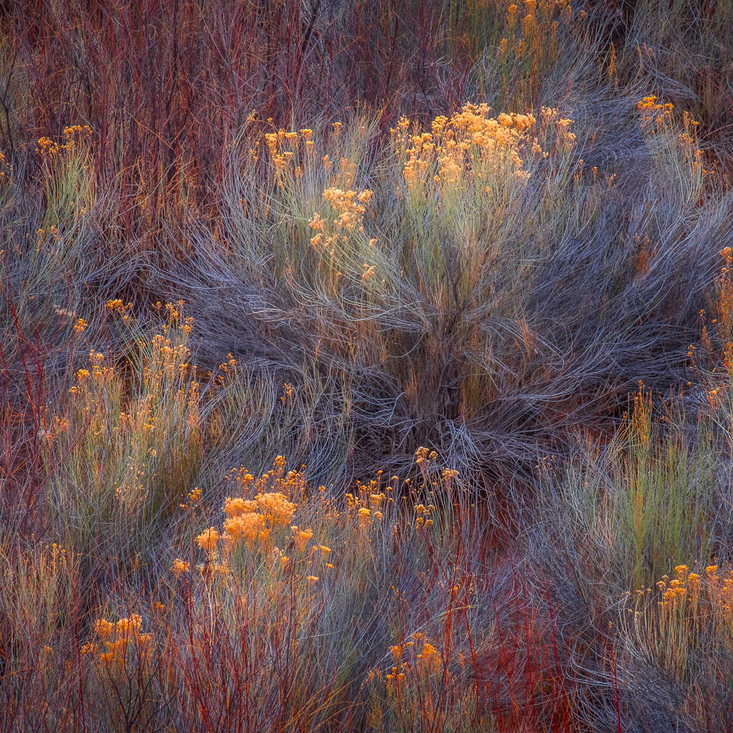 Guy Tal - The Sacredness of the Natural World in Landscape Photography