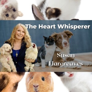 The Heart Whisperer Susan Hargreaves