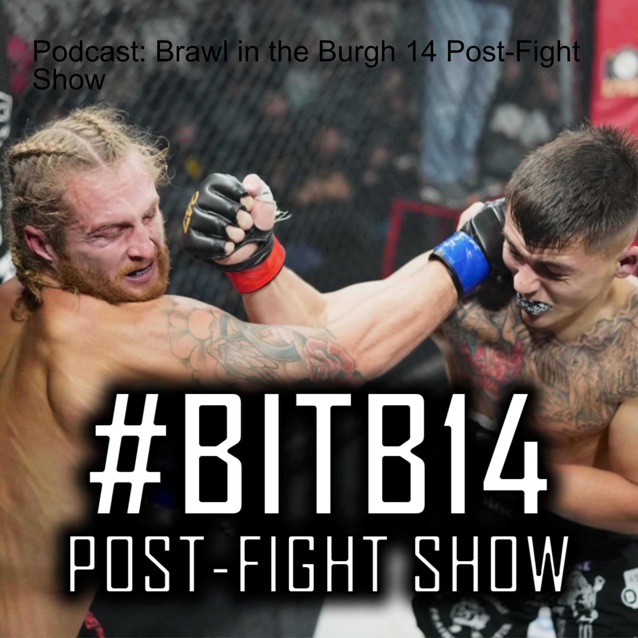 247 Combat Sports Podcast