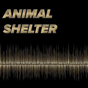 ’Bloomfield Township Police Department Animal Shelter’ Episode 5