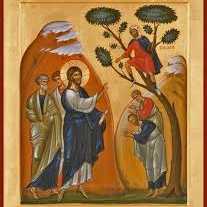 Sermons at MCCC - Rev. Chad Delaney