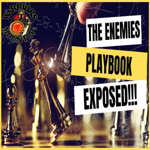 The Enemies Playbook Exposed