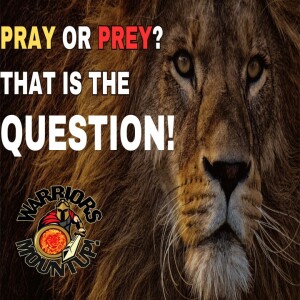 Pray or Prey? That is the Question.