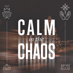 Calm in the Chaos: Babies and Bathwater