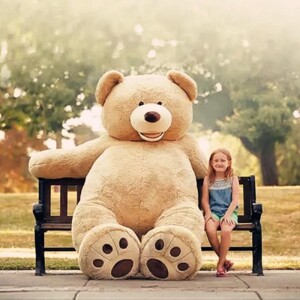 Giant Teddy Bear - Why Should You Consider Purchasing One?