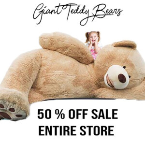 Is a Teddy Bear a Perfect Gift for your Girlfriend?