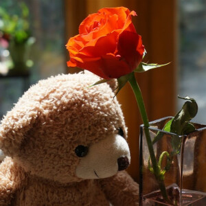 5 Reasons To Gift A Giant Teddy Bear To Loved Ones