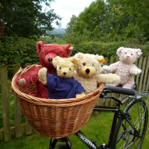 Celebrate your relationship with a Giant Teddy Bear