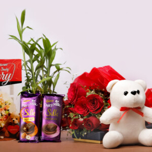 Expressing Apology through a Giant Teddy Bear