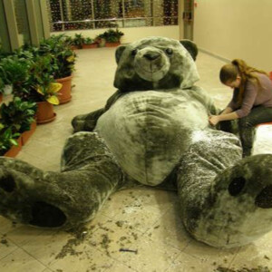The Making of a Giant Teddy Bear