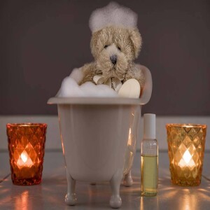 How to Clean Your Giant Teddy Bear - A Comprehensive Teddy Bear Cleaning Guide at Home