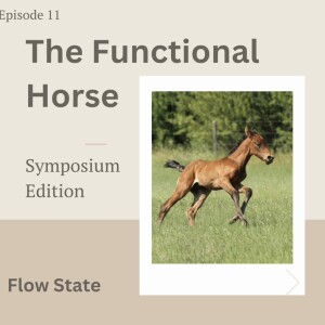 Episode 10 Flow State
