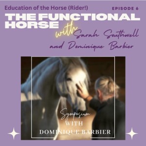 Episode 6 - Education of the horse (rider)