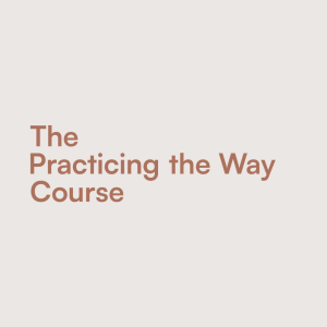 Crafting a life worth living? || Practicing The Way: Session 7