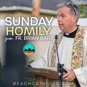 Homily: Fr. Brian Barr -  'What does the Holy Spirit look like?' - May 23, 2021