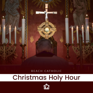 Gospel and Homily: Fr. Brian Barr - Christmas Holy Hour