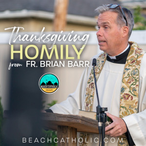 Thanksgiving Day Homily: Fr. Brian Barr - 'Let His grace break through' - November 26, 2020