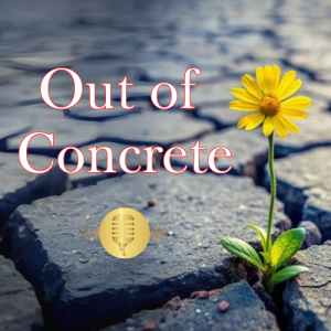 Out of Concrete