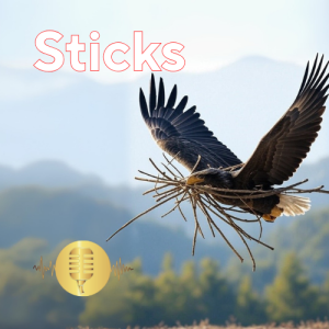 Sticks