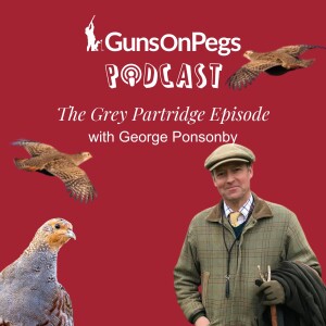 The Grey Partridge Episode