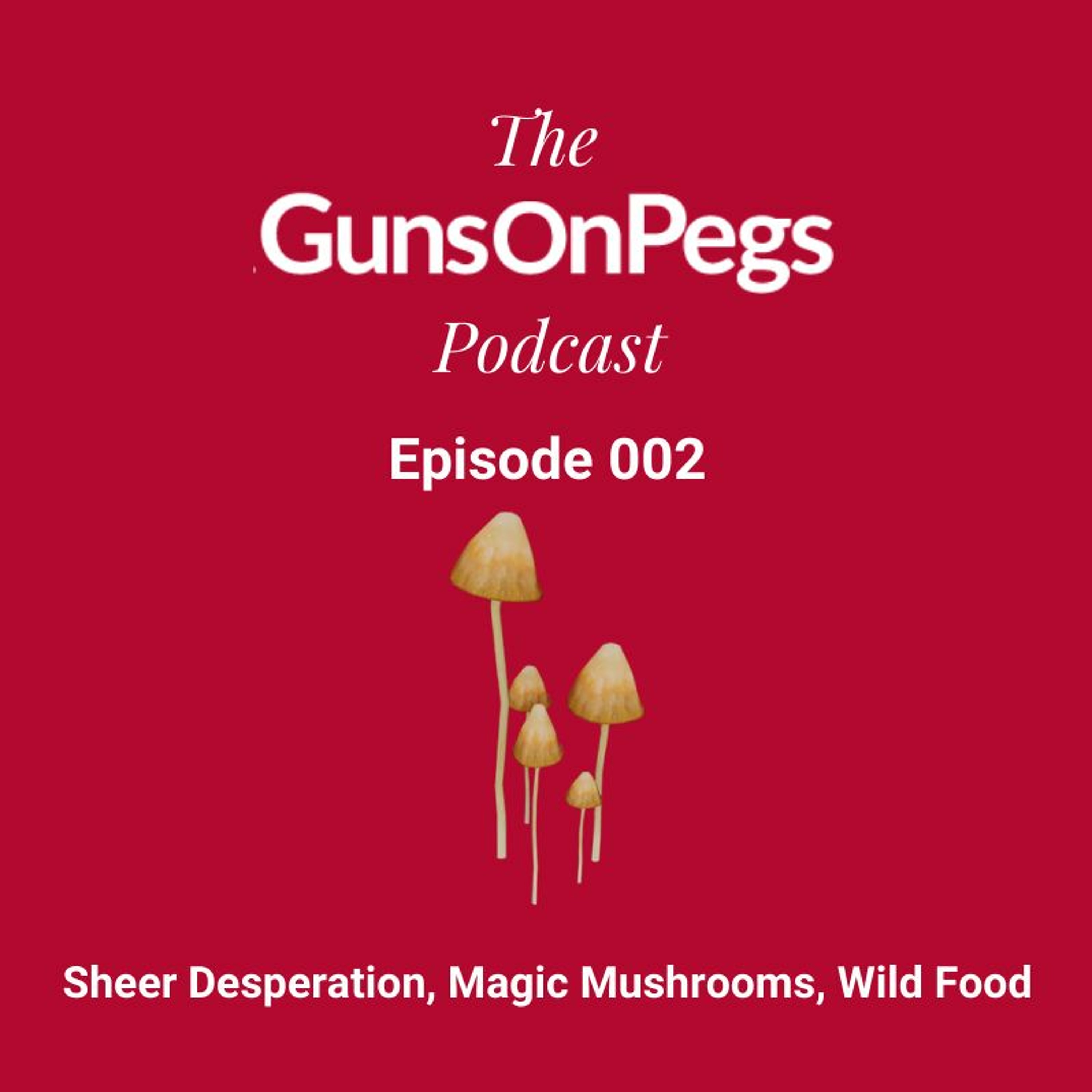 The GunsOnPegs Podcast