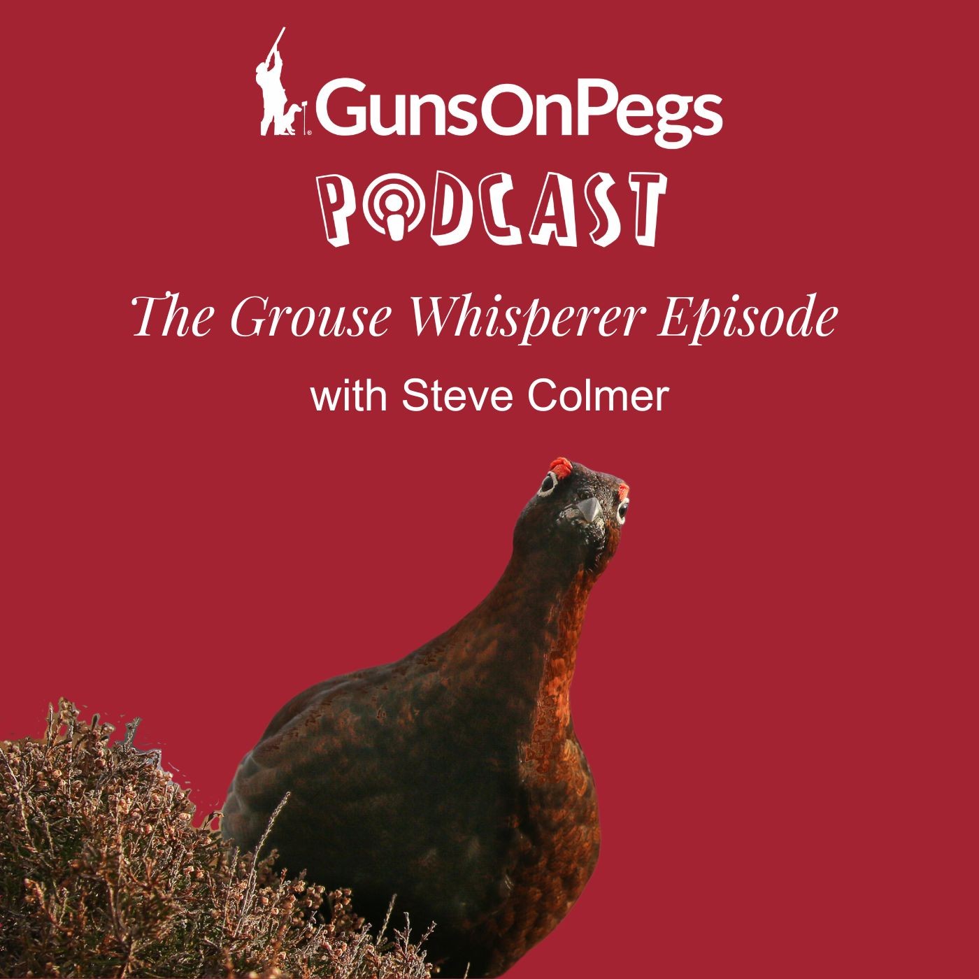 The GunsOnPegs Podcast