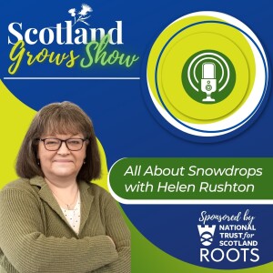 Scotland Grows Show S4 E1: All About Snowdrops with Helen Ruston