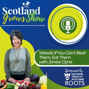 Scotland Grows Show S4 E3: Weeds: If You Can't Beat Them, Eat Them with Janice Clyne