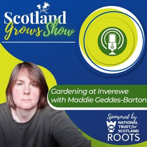 Scotland Grows Show S3 E5: Gardening at Inverewe with Maddie Geddes-Barton, National Trust for Scotland