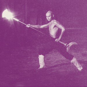 THE 36TH CHAMBER OF SHAOLIN (1978) | The Six Degrees of 'Kill Bill'