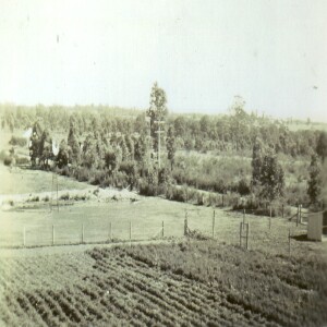 Episode 15 Changing Suburbs: Rouse Hill - Jack Iori (OAM)
