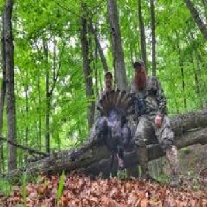 237P - Hen Fight!!! A West Virginia Turkey Hunt