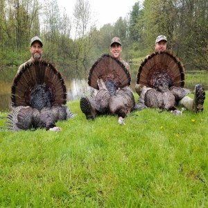 239P - A Turkey Hunting Trip for the Ages with Hunt Audio