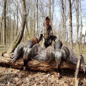 232P - A Mississippi Turkey Hunting Story