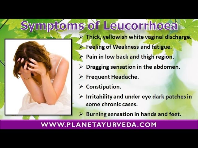 Herbs For Leucorrhoea !  Herbal Remedies For Leucorrhoea