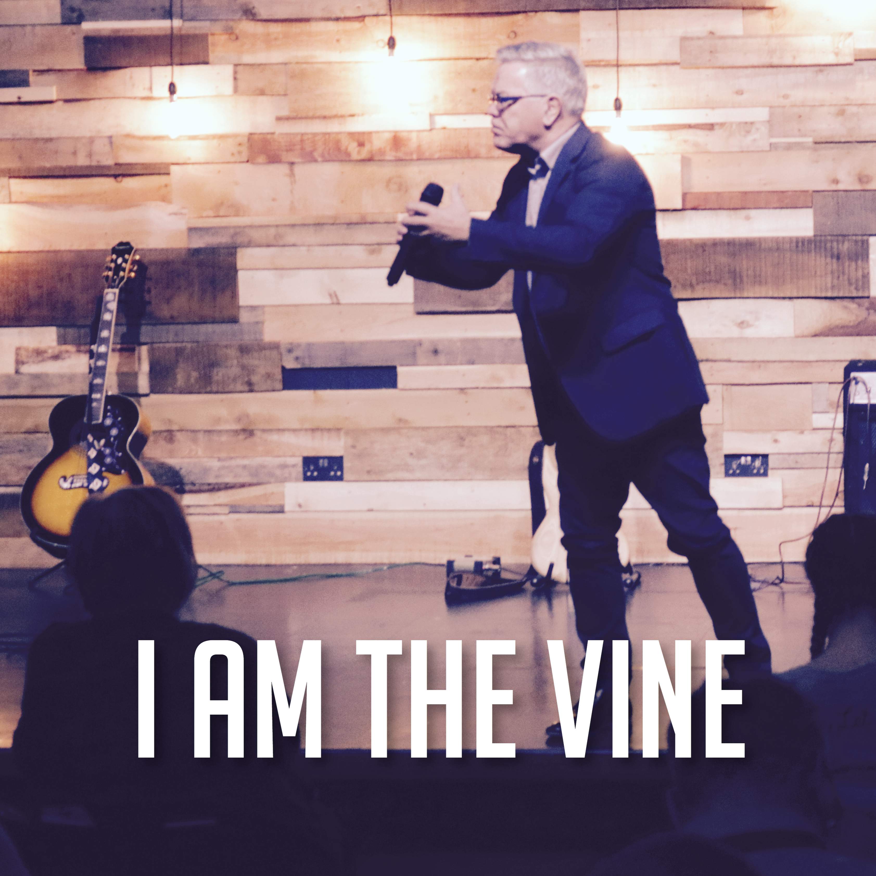 I Am The Vine | Donovan Coetzee